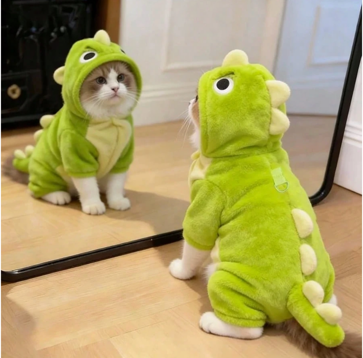 Cute Pet Cat & Dog Clothing