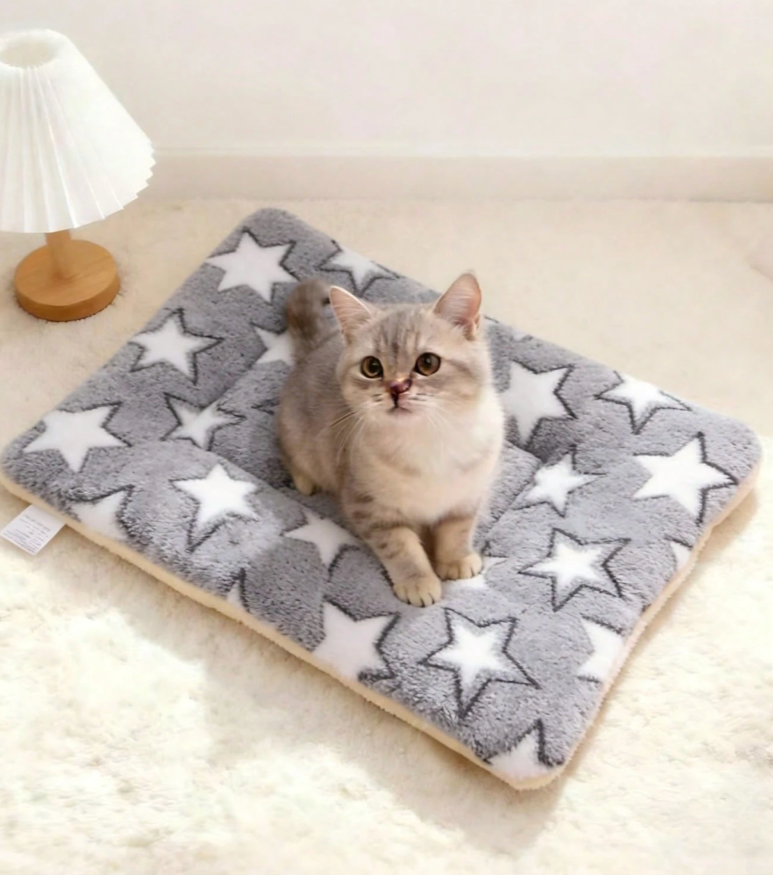 Print Pet Mat